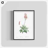 1-90_Histoire-des-Plantes-Grasses_blk-crop
