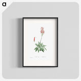 1-90_Histoire-des-Plantes-Grasses_blk