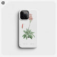 1-90_Histoire-des-Plantes-Grasses_phone