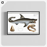 1-90_Ichtyologie-ou-Histoire-naturelle_blk-crop