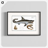 1-90_Ichtyologie-ou-Histoire-naturelle_blk