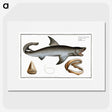 1-90_Ichtyologie-ou-Histoire-naturelle_picture
