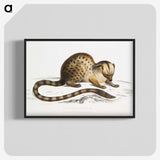 1-90_Indian-Zoology_blk-crop