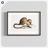 1-90_Indian-Zoology_blk
