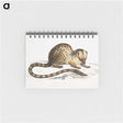1-90_Indian-Zoology_memo