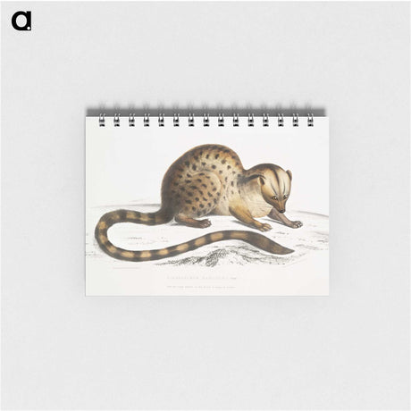 1-90_Indian-Zoology_memo