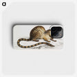 1-90_Indian-Zoology_phone