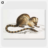 1-90_Indian-Zoology_picture-crop