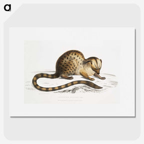 1-90_Indian-Zoology_picture
