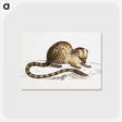 1-90_Indian-Zoology_postcard