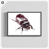 1-90_Insects-Unlocked-Project_blk-crop
