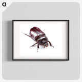 1-90_Insects-Unlocked-Project_blk
