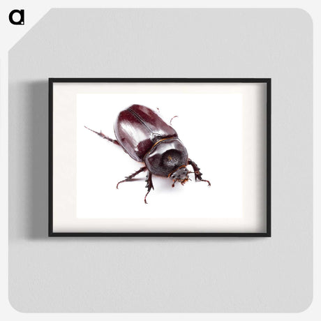 1-90_Insects-Unlocked-Project_blk