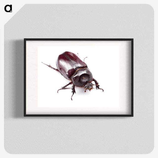 1-90_Insects-Unlocked-Project_blk