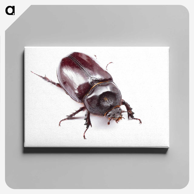 1-90_Insects-Unlocked-Project_canvas