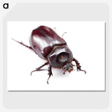 1-90_Insects-Unlocked-Project_picture-crop