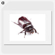 1-90_Insects-Unlocked-Project_picture