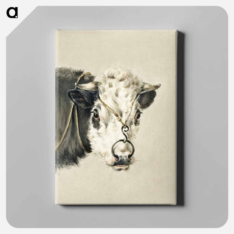アートパネル-Head of a cow, with a ring through the nose - ジャン ベルナール Canvas.