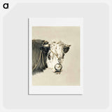 アートポストカード-Head of a cow, with a ring through the nose - ジャン ベルナール Postcard.