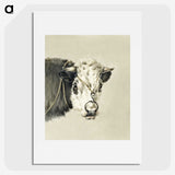 1-90_Jean-Bernard_picture