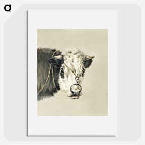 1-90_Jean-Bernard_picture