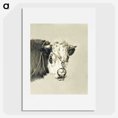 1-90_Jean-Bernard_picture