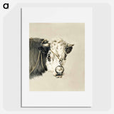 Head of a cow, with a ring through the nose - Jean Bernard Poster.