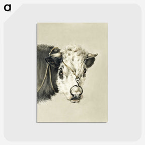 1-90_Jean-Bernard_postcard