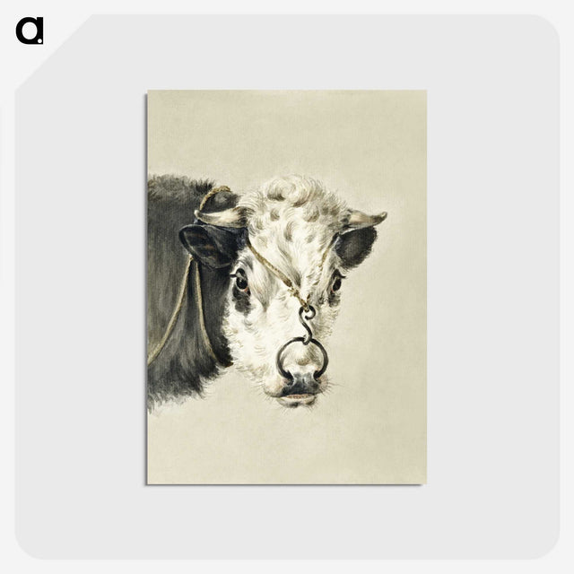 1-90_Jean-Bernard_postcard