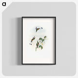1-90_John-Gould_blk