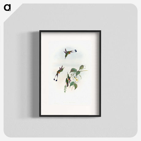 1-90_John-Gould_blk