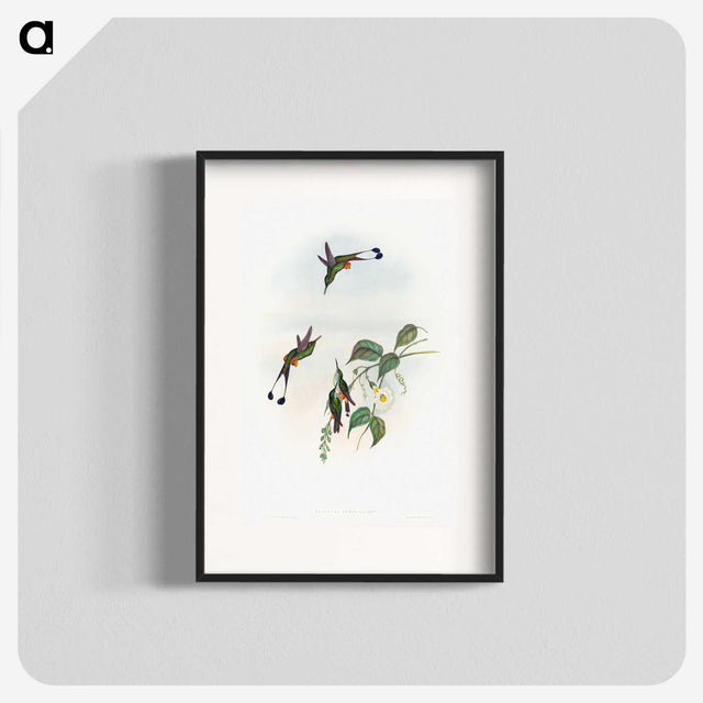 1-90_John-Gould_blk