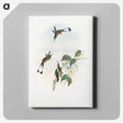 1-90_John-Gould_canvas