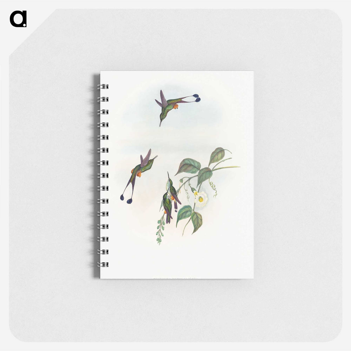1-90_John-Gould_memo
