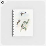 1-90_John-Gould_memo