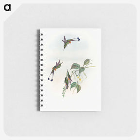 1-90_John-Gould_memo