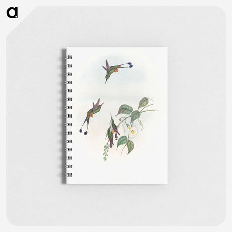1-90_John-Gould_memo