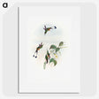 1-90_John-Gould_picture