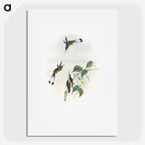 1-90_John-Gould_picture
