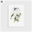 1-90_John-Gould_postcard