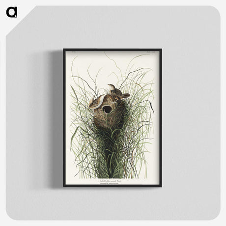 1-90_John-James-Audubon_blk-crop