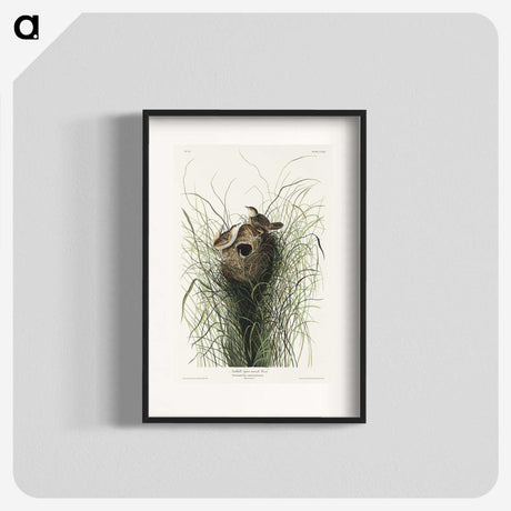 1-90_John-James-Audubon_blk