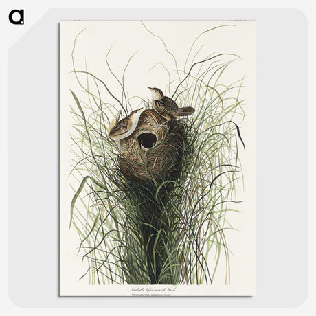 1-90_John-James-Audubon_picture-crop