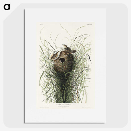 1-90_John-James-Audubon_picture
