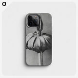 1-90_Karl-Blossfeldt_phone