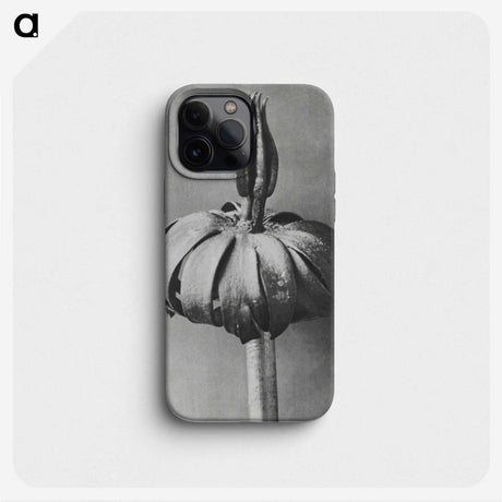 1-90_Karl-Blossfeldt_phone