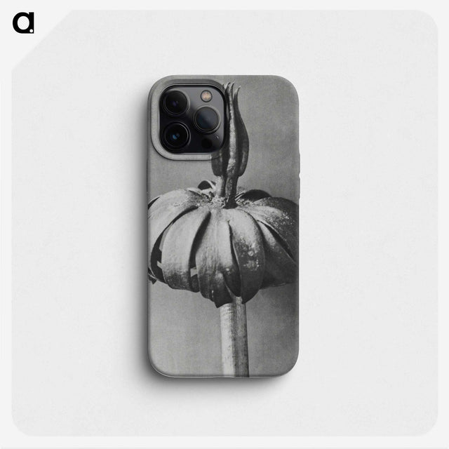 1-90_Karl-Blossfeldt_phone
