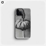 Eranthis cilicica (Winter Aconite) enlarged 8 times from Urformen der Kunst by Karl Blossfeldt - カール ブロスフェルト Phone Case.