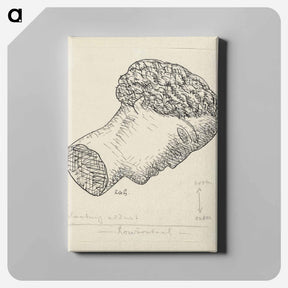 アートパネル-Vrouwenkop - レオ ヘステル Canvas.