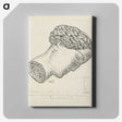 1-90_Leo-Gestel_canvas